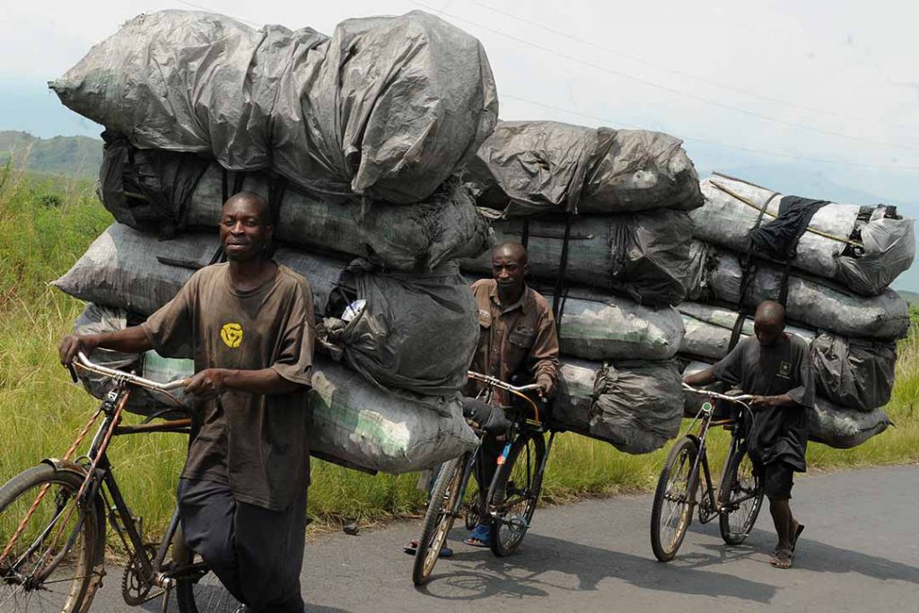 Reforestation efforts in Zambia