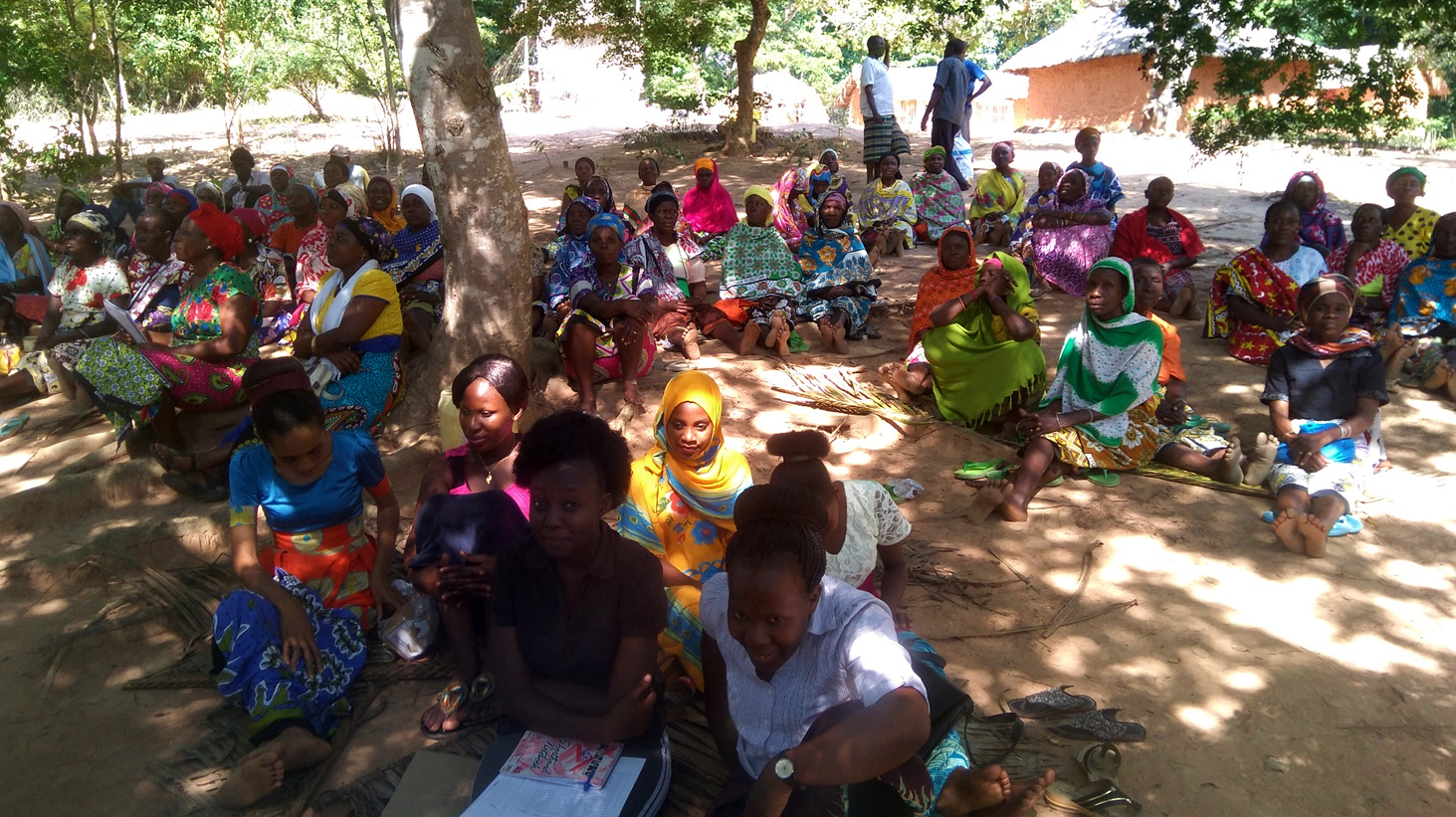 Climate Change Impact