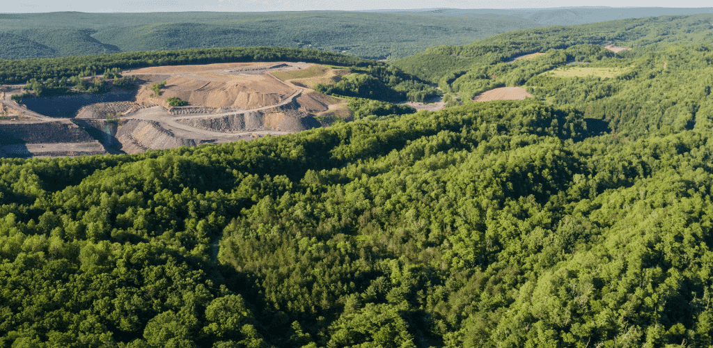 Community conservation