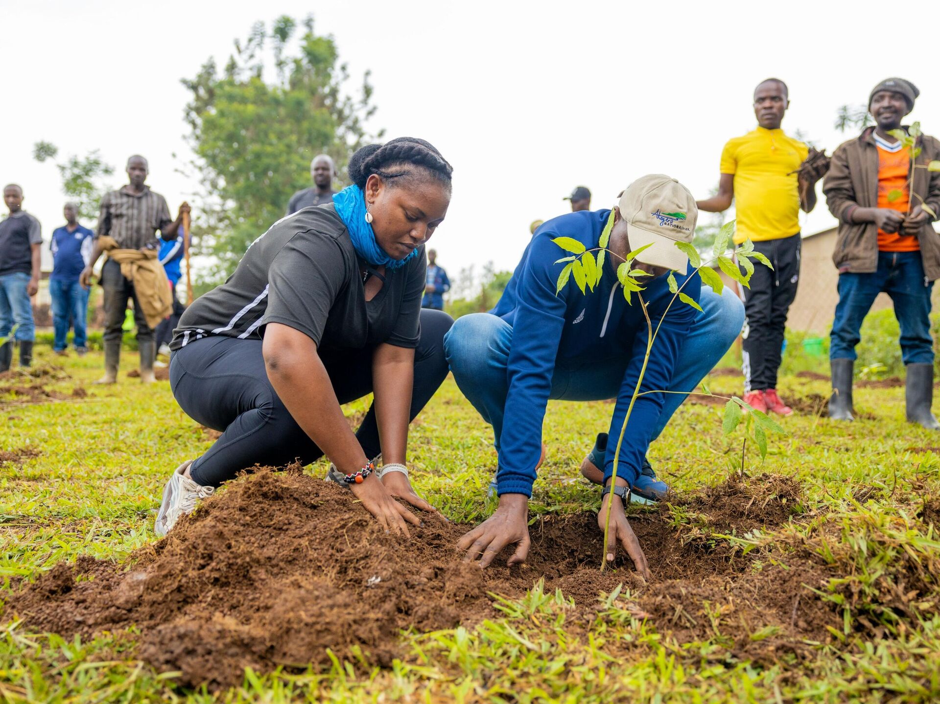 Employee Volunteering